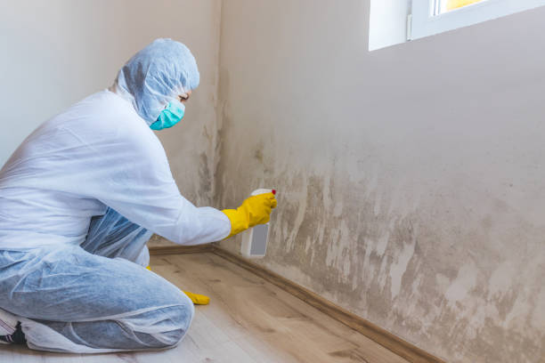 Licensed Commercial Mold Remediation service in Union City, PA - WQB Mold Removal