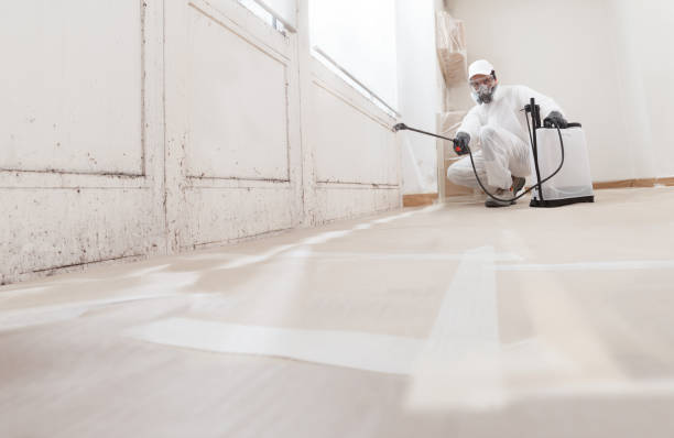 24/7 Emergency Commercial Mold Remediation experts in Union City, PA