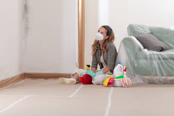 Reliable Commercial Mold Remediation contractor in Union City, PA by WQB Mold Removal