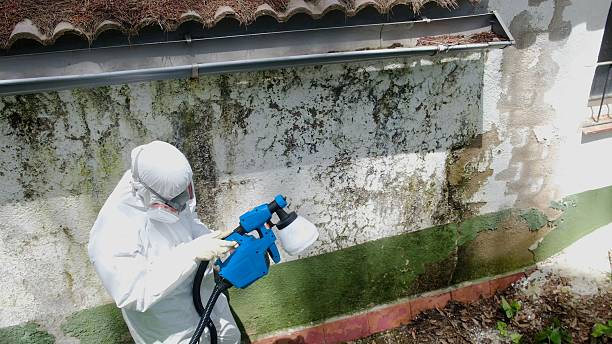 Top rated local Commercial Mold Remediation specialists in Union City, PA